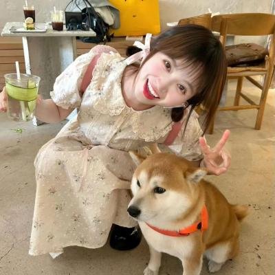 我非笼鸟 海报