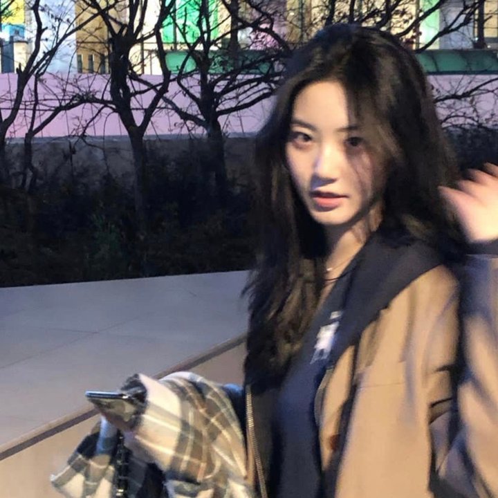 山有木兮木有心 海报